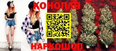 первитин Заводоуковск