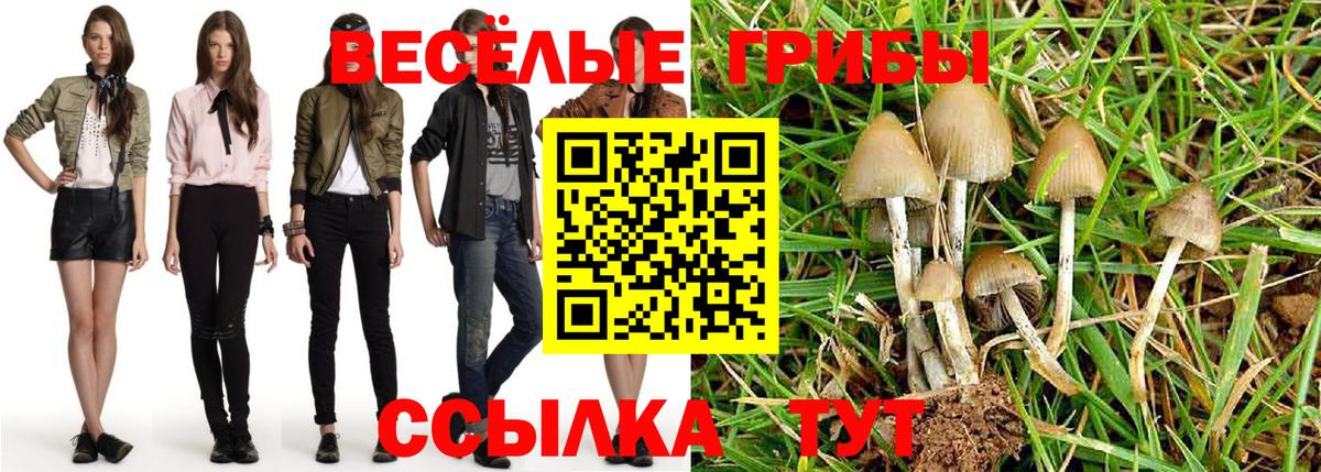 Галлюциногенные грибы мухоморы  Вход с VPN  Назарово 
